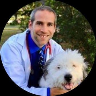 Jay Katz, DVM